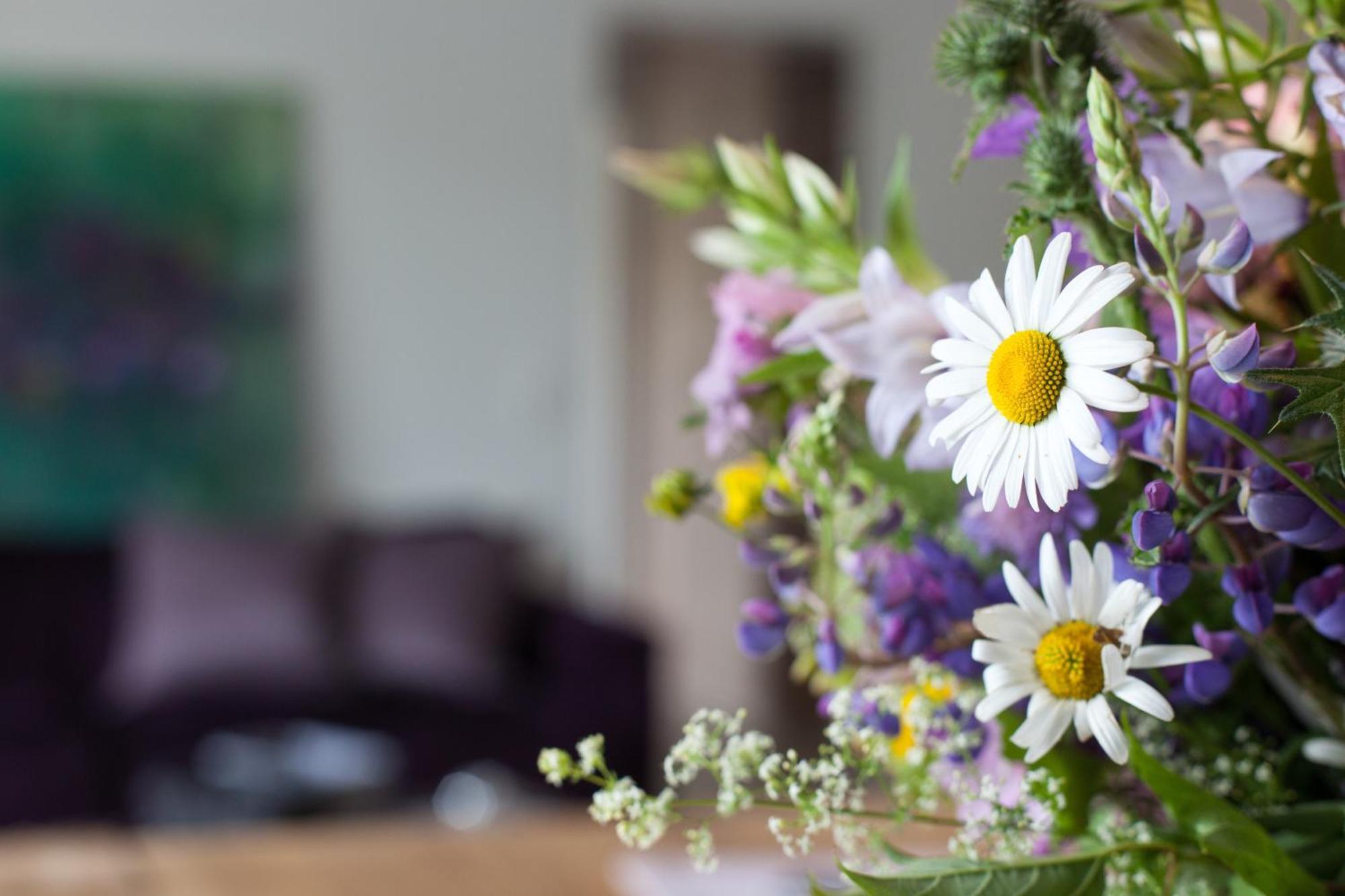 Hotel Nuhnetal Winterberg Pokój zdjęcie